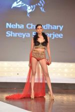 at NIFT Mumbai show by Achala Sachdev in NCPA, Mumbai on 25th May 2013 (105).JPG